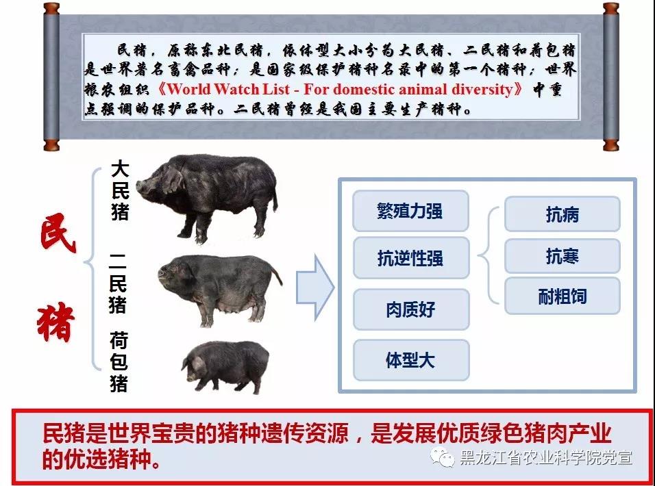 2024澳门原料网1688