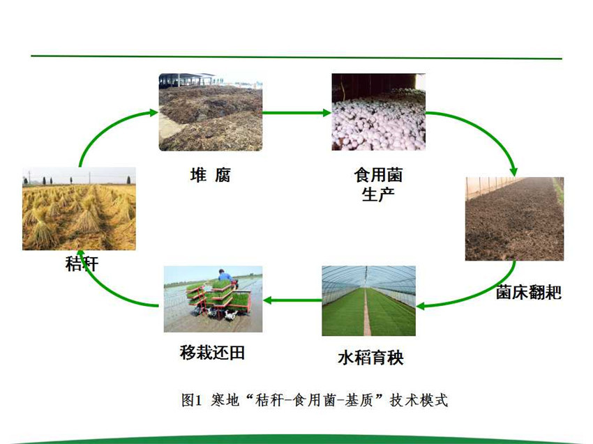 2024澳门原料网1688