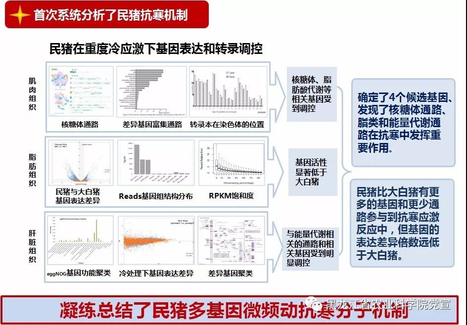 2024澳门原料网1688