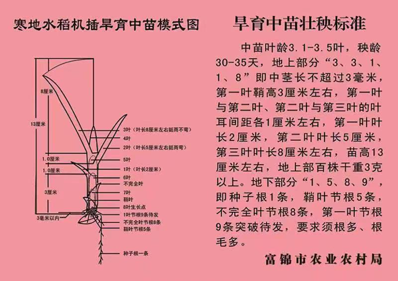 2024澳门原料网1688