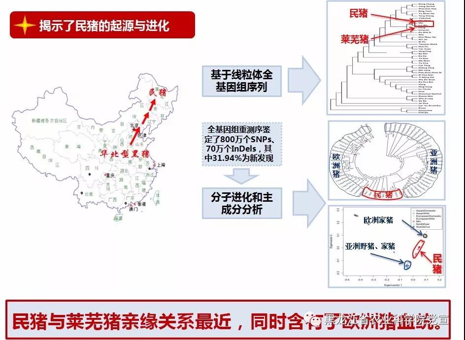 2024澳门原料网1688