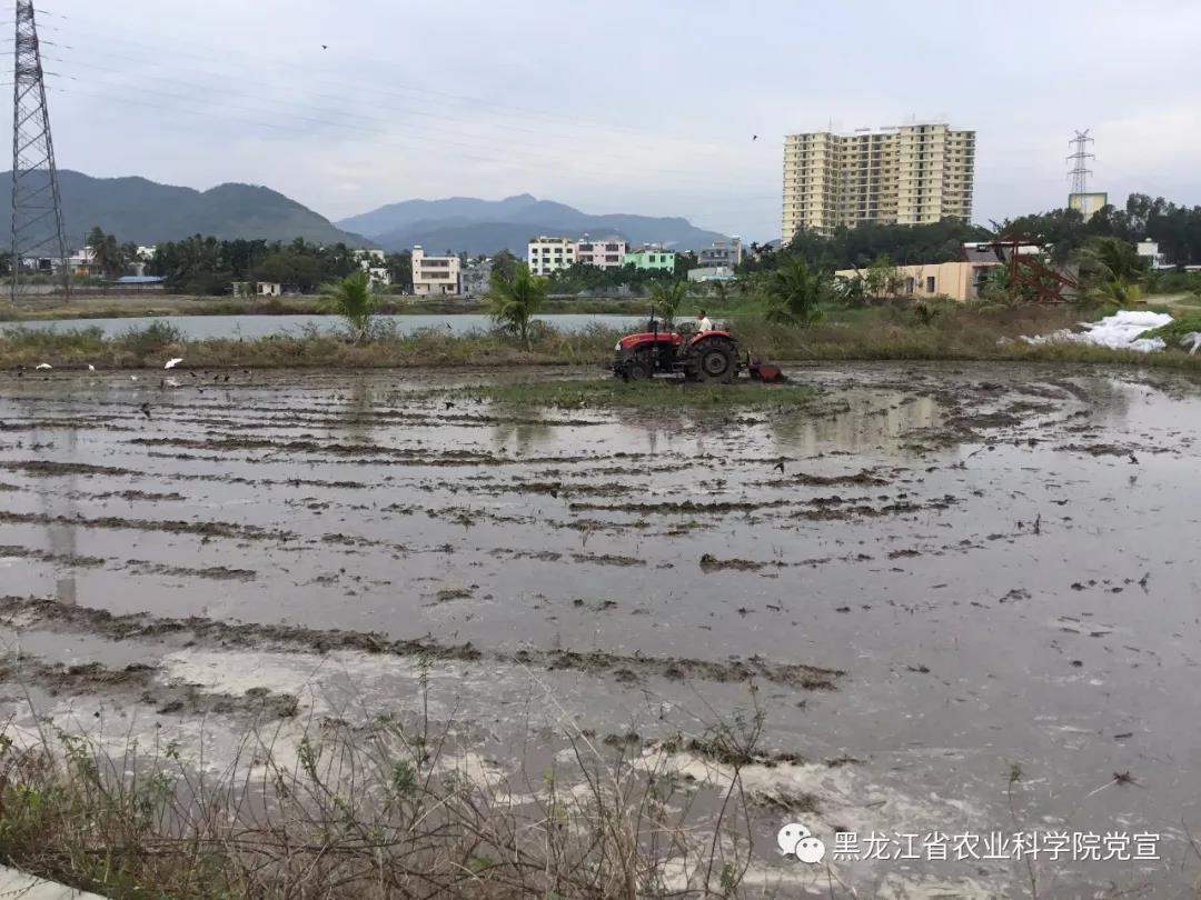 2024澳门原料网1688